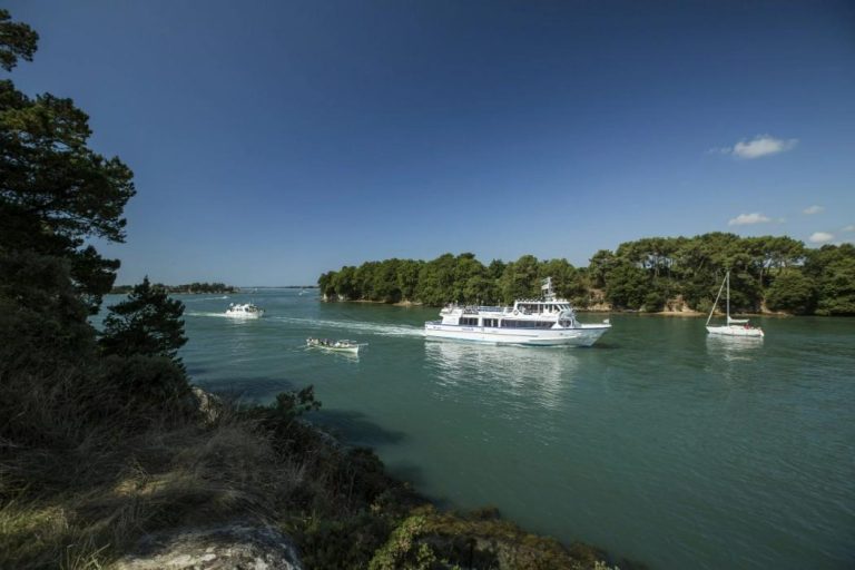 Navix Dynamo Tourisme 6 768x512