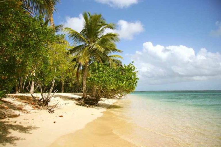 Pointe sable 768x513