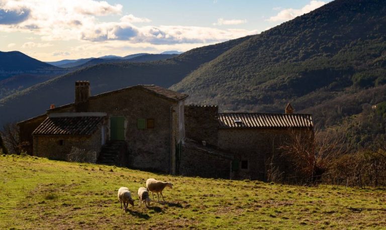 Rouveyrac Dec20 75 768x458