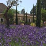 Hostellerie Le Roy Soleil