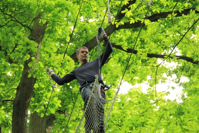 Sherwood Parc 3 1 768x512