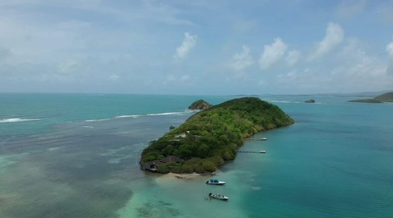 TITI Capitain 1 768x427