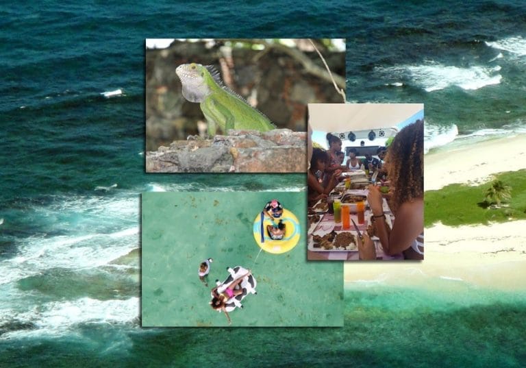 TITI Capitain 2 768x537