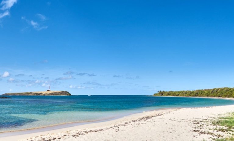 TITI Capitain 3 768x463