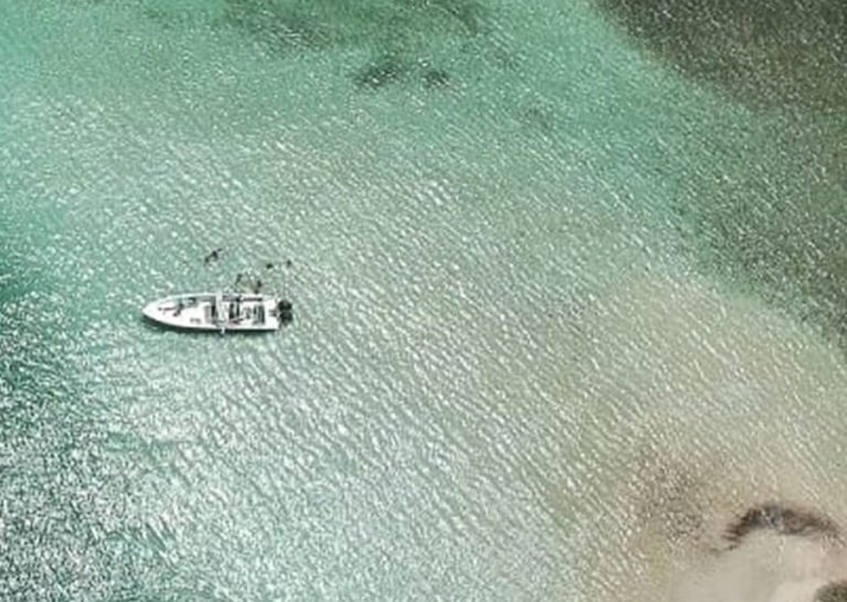 TITI Capitain 4 768x546