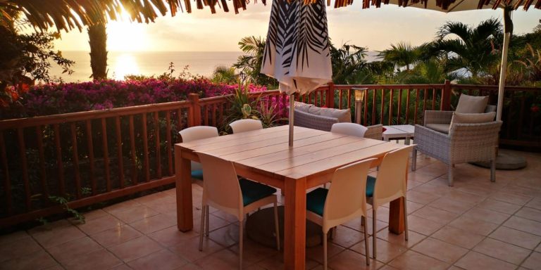 WhatsApp Image 2021 02 12 at 18.09.33 768x384