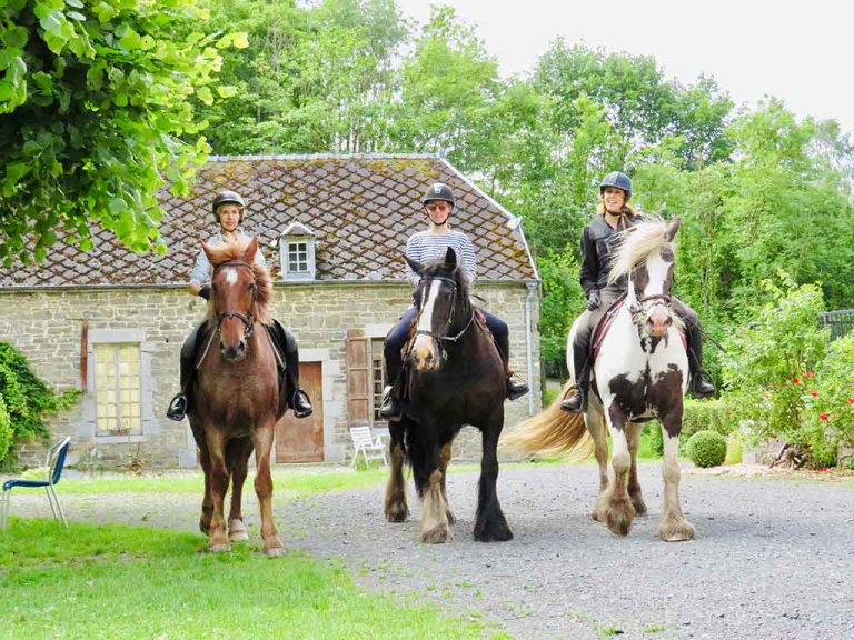balade cheval dans les ardennes 1 768x576