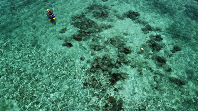 dji fly 20230511 105012 139 1683816618457 photo optimized 1 768x432