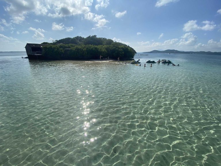 image 6487327 8 1 768x576