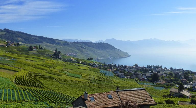 lavaux 1805750 1920 e1513173113601 1920x1065 1 768x426