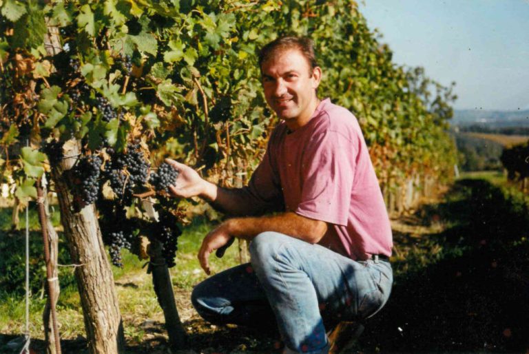 photos vignes avec frederic 1024x685 1 768x514