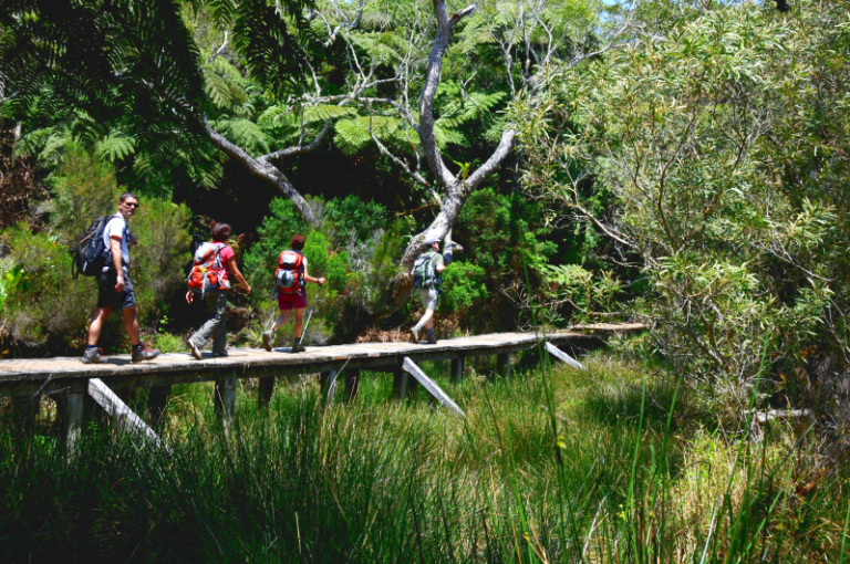 pont805363BA 18B6 85A3 3294 6E2CAA69AE63 768x510