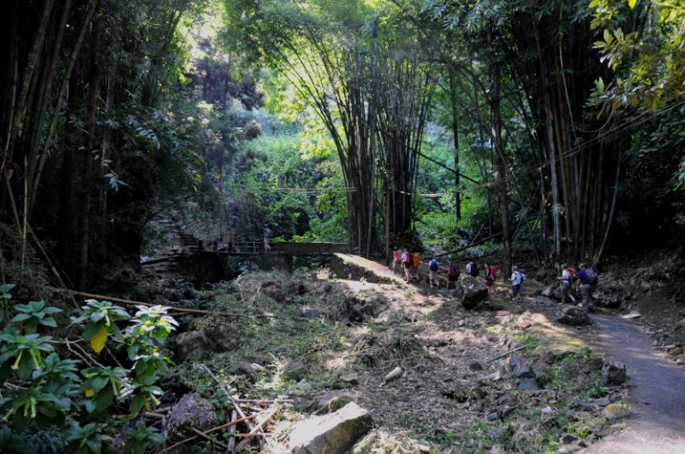 r 79702DE003B6 8FE2 EA6B 4368 94C009B690B2 768x510