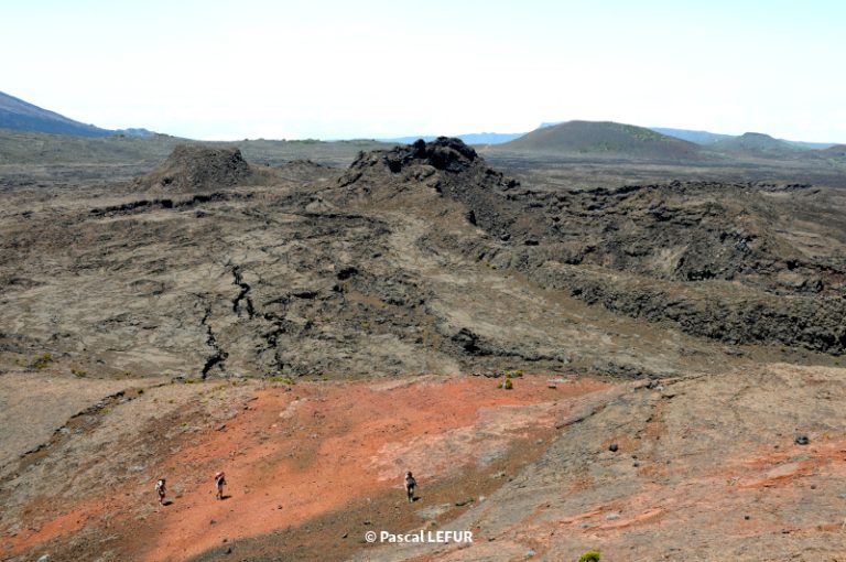 r 8852E153B1F9 DAE2 4709 14A9 C9CBD68E15C1 768x510