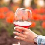 L’œnotourisme, un atout essentiel pour le développement des domaines viticoles 🍇🍷