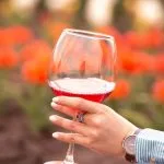 L’œnotourisme, un atout essentiel pour le développement des domaines viticoles 🍇🍷